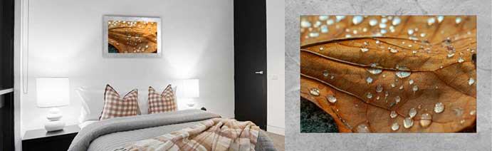 Button to open 'Shine' gallery.